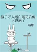渣了那个万人迷男主身份