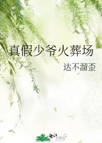 真假少爷火葬场TXT百度