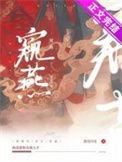 窥燕(双重生)讲的什么