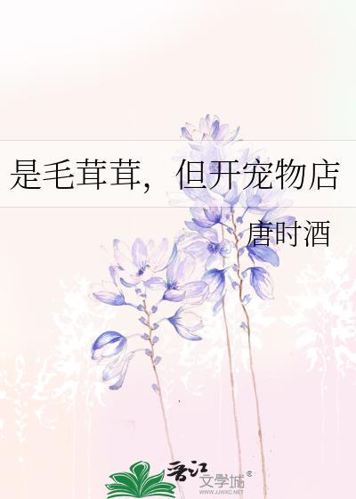 是毛绒绒但开宠物店