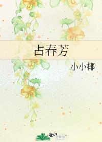 占春芳词牌大全