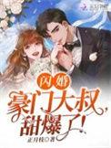 闪婚豪门无删减版