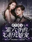 重生暖婚霍套路深全文免费阅读