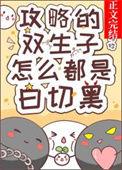 生子攻略