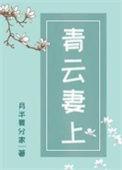 青云妻上晋江