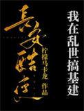 我在乱世做权臣静夜网
