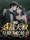 闪婚大叔用力宠