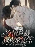 高冷总裁生子文