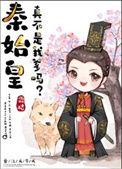 秦始皇他爹哪里人啊