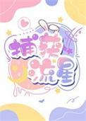 明星当教授的看法