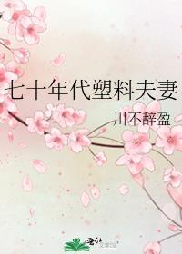 七十年代塑料夫妻川不辞盈 · 著