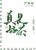 真是好茶笔趣阁