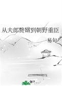 从夫郎赘婿到朝野重臣抄袭