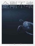 金刚不坏大寨主txt精校版
