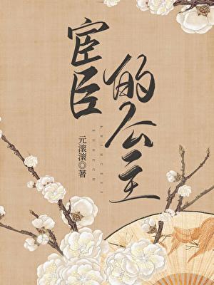 宦臣的公主笔趣阁