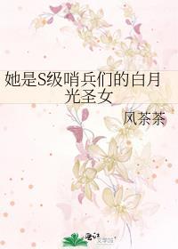 她是S级哨兵们的白月光圣女by风茶茶