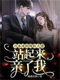 冷冰冰的残疾大佬站起来亲了我正版