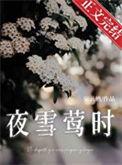 夜雪觖引