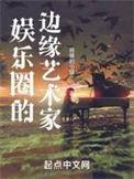 娱乐圈的边缘艺术家书评