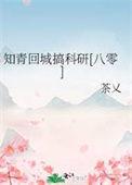 知青回城年代文