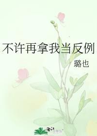 不许再拿我当反例讲什么