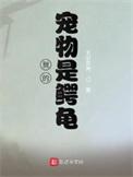 我的小鳄龟作文