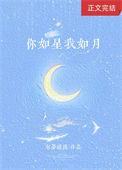 我如星你如月歌曲
