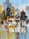 重返2000从文抄开始一夜成名TXT
