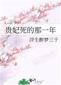 贵妃是谁