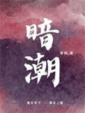 暗潮缉凶免费观看电视剧全集高清