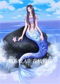 钓系美人被曝光后弹幕全在喊老婆晋江
