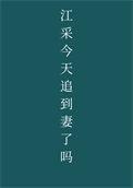 江采今天追到妻了吗完结了吗