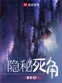 隐秘死角讲的什么