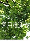 霁月难逢未删减版