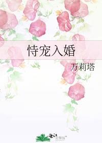 恃宠入婚免费阅读全文无弹窗