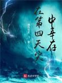 在第四天灾中幸存主角干的事情