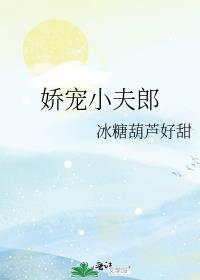 娇宠小夫郎的逆袭