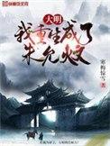 重生之大明朱允文