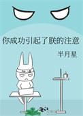 你成功的引起了我的注意是什么意思