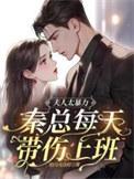 秦总每天带伤上班短剧全集完结