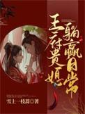 王府小媳妇全文