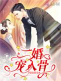 二婚宠妻全文免费阅读