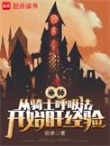 巫师 红骑士