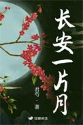 长安一片月的长安是哪里