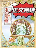 清穿福晋出轨