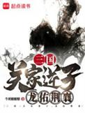 龙佑荆襄全集txt免费