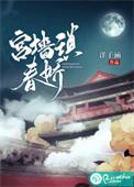 宫墙往事锁宫阙