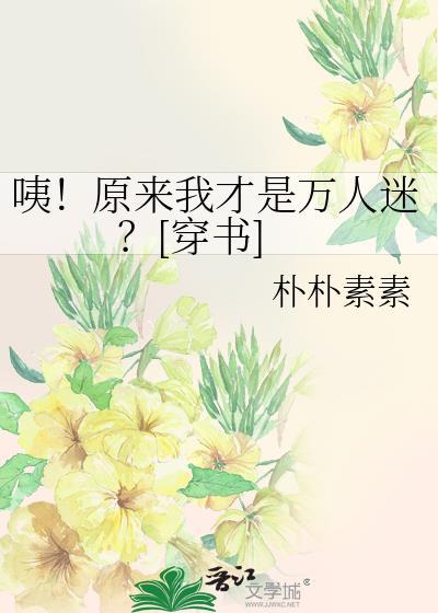 原来我才是npc