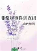 非常规事件调查组工作职责