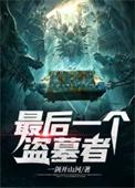 最后一个盗墓者介绍